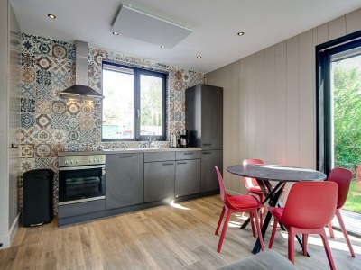 Holiday house Modern holiday home on Dutch coast with garden - Features photo 11