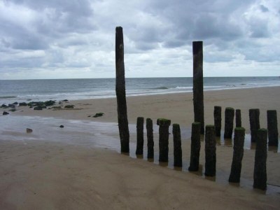 Holiday house Home Zoutelande near Beach - Environment photo 34