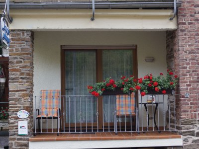 Holiday apartment Loreleytal - Outdoor photo 2