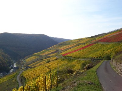 Holiday apartment Loreleytal - Environment photo 12