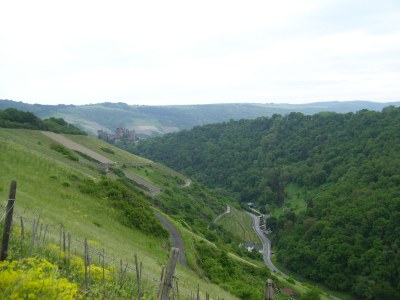 Holiday apartment Loreleytal - Environment photo 13