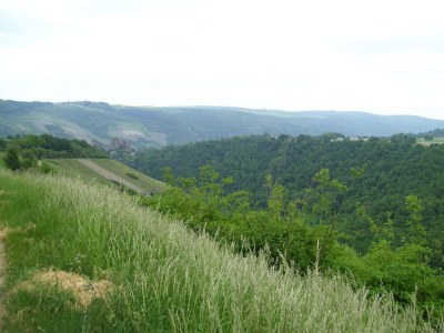 Holiday apartment Loreleytal - Environment photo 14