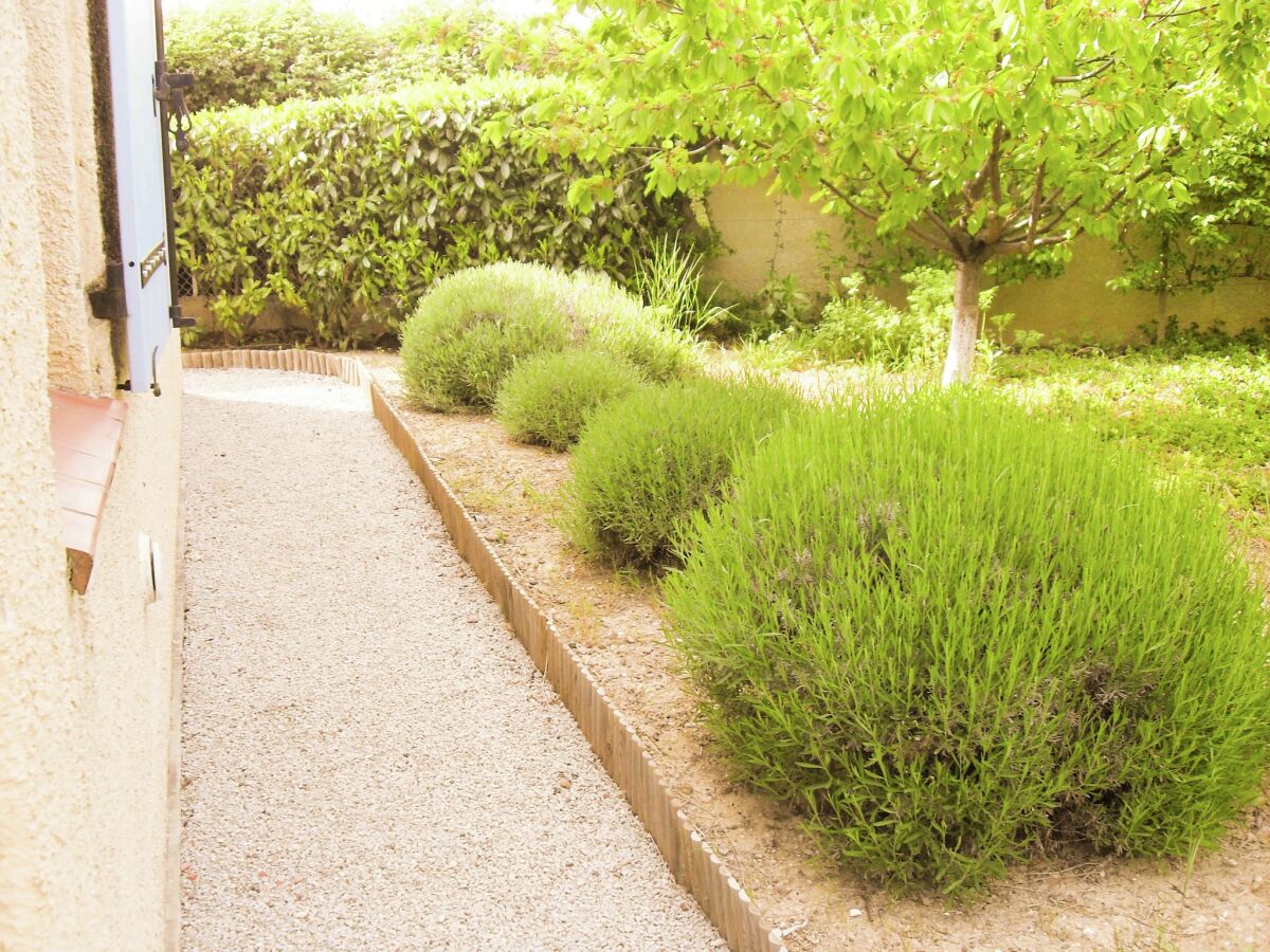 Holiday house Peaceful Escape in Argeliers - Outdoor photo 5