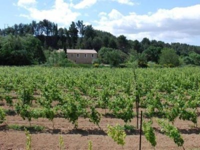 Holiday house Peaceful Escape in Argeliers - Environment photo 36