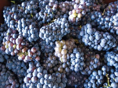 Villa Sunny Escape to Serenity - Outdoor photo 37