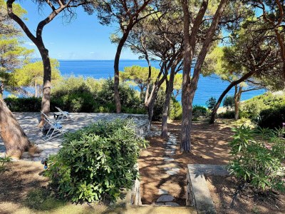 Villa Villa Star Isola d'Elba - Environment photo 35