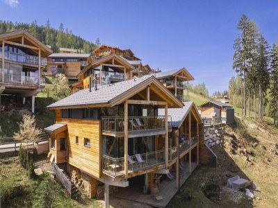 Holiday park Schönes Chalet mit finnischer Sauna - Outdoor photo 8