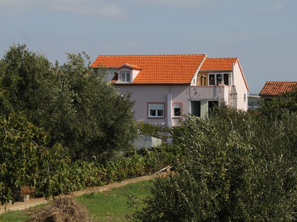 Apartment Three bedroom apartment with terrace and sea view Tkon, Pašman A-341-a - Outdoor photo 5