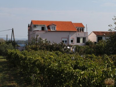 Apartment Three bedroom apartment with terrace and sea view Tkon, Pašman A-341-a - Outdoor photo 4