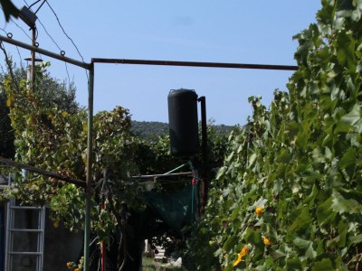 Apartment Three bedroom apartment with terrace and sea view Tkon, Pašman A-341-a - Outdoor photo 7