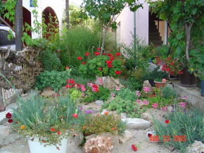 Apartment Three bedroom apartment with terrace and sea view Tkon, Pašman A-341-a - Outdoor photo 10