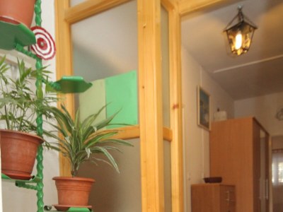 Apartment Three bedroom apartment with terrace and sea view Tkon, Pašman A-341-a - Outdoor photo 28