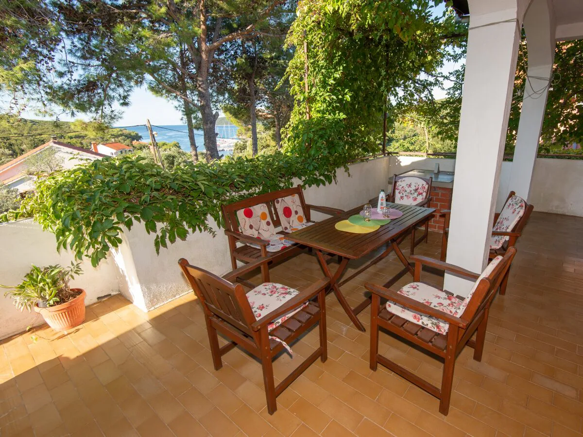 Apartment Three bedroom apartment with terrace and sea view Molat A-6249-a