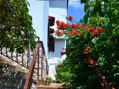 Apartment Three bedroom apartment with terrace and sea view Molat A-6249-a - Outdoor photo 10