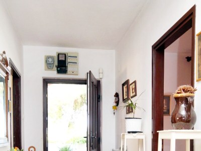 Apartment Three bedroom apartment with terrace and sea view Molat A-6249-a - Outdoor photo 25