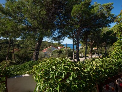 Apartment Three bedroom apartment with terrace and sea view Molat A-6249-a - Outdoor photo 26