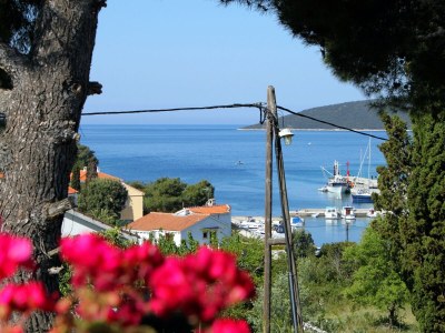 Apartment Three bedroom apartment with terrace and sea view Molat A-6249-a - Outdoor photo 28