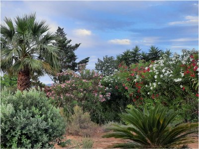 Holiday house Ferienhaus mit Pool - Outdoor photo 16