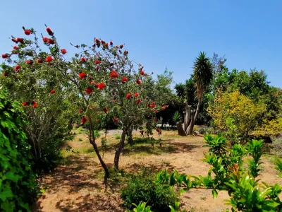 Holiday house Ferienhaus mit Pool - Outdoor photo 17