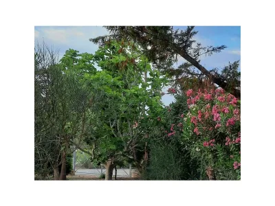 Holiday house Ferienhaus mit Pool - Outdoor photo 18