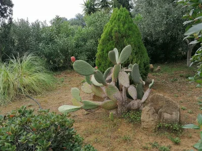 Holiday house Ferienhaus mit Pool - Outdoor photo 19