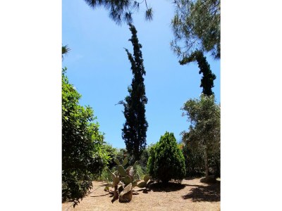 Holiday house Ferienhaus mit Pool - Outdoor photo 20