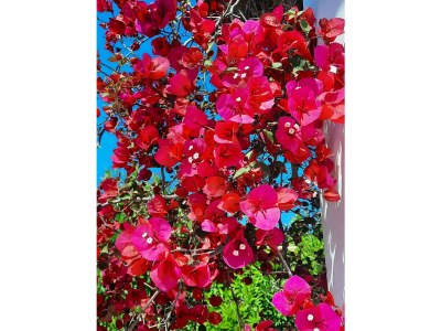 Holiday house Ferienhaus mit Pool - Outdoor photo 21