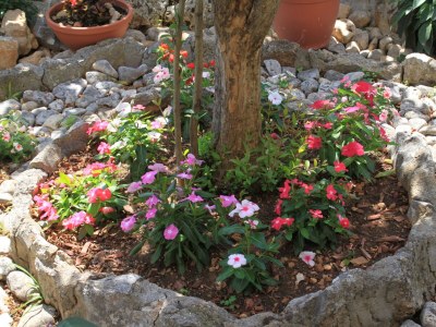 Apartment One bedroom apartment with terrace and sea view Kukljica, Ugljan A-8237-c - Outdoor photo 8