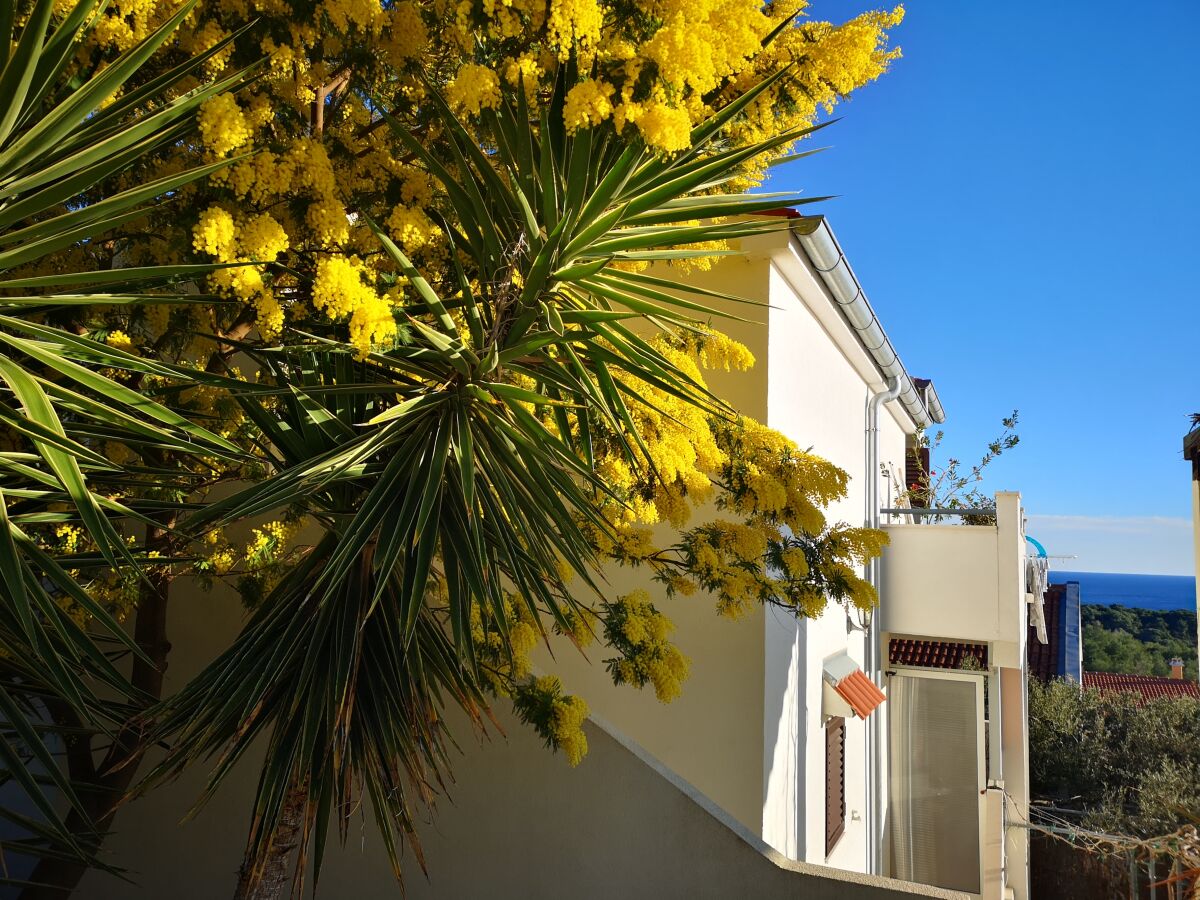Apartment One bedroom apartment with terrace and sea view Rukavac, Vis A-8897-a - Outdoor photo 3