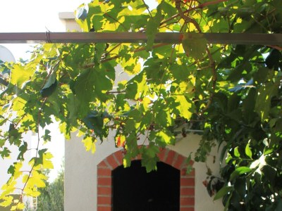 Apartment One bedroom apartment with terrace and sea view Rukavac, Vis A-8897-a - Outdoor photo 6