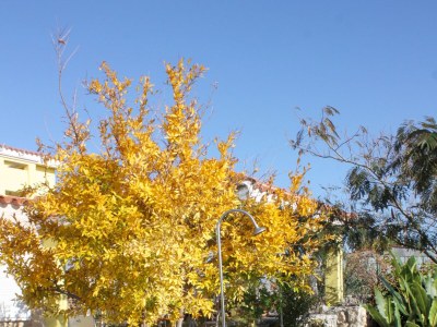 Apartment Studio flat with terrace and sea view Rtina - Stošići, Zadar AS-5881-a - Outdoor photo 6