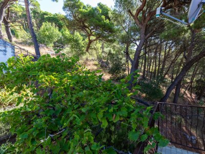 Apartment Studio flat with balcony Marušići, Omiš AS-21608-b - Outdoor photo 22