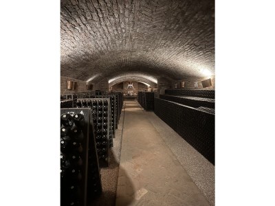 Villa Villa Verdini - Environment photo 20