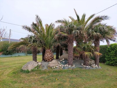 Holiday house Stone House in Cléder near Sandy Beach - Outdoor photo 7