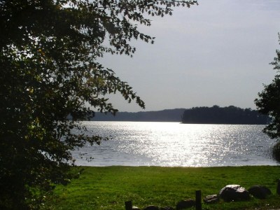 Holiday house Ferienhaus, Dolgen am See - Environment photo 19