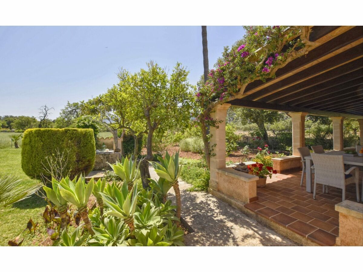 Cottage Country House in Pollença near Cala San Vicenç - Outdoor photo 3