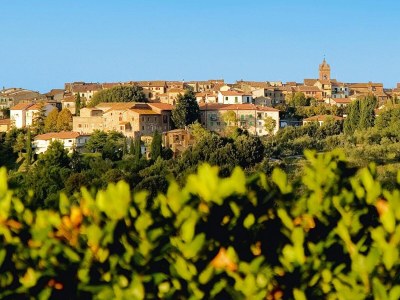 Holiday park Estate in Montaione with Pool & Wine Tasting - Outdoor photo 10