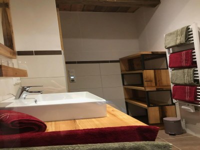 Holiday house Apartment Wiesbachhorn – Zell am See-Kaprun - Features photo 15