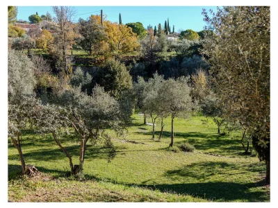 Villa Jardin des Oliviers - Outdoor photo 7