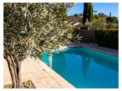 Villa Jardin des Oliviers - Outdoor photo 13