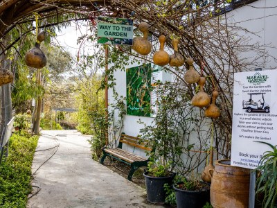 Villa Villa Celest - Environment photo 40