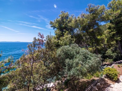 Apartment Four-bedroom apartment near beach Cove Torac, Hvar A-575-a - Outdoor photo 15