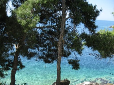 Apartment Two bedroom apartment near beach Cove Torac, Hvar A-575-b - Outdoor photo 10