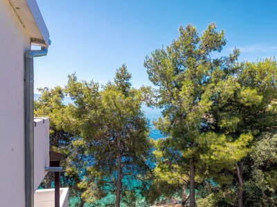 Apartment Two bedroom apartment near beach Cove Torac, Hvar A-575-b - Outdoor photo 40