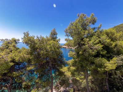 Apartment Two bedroom apartment near beach Cove Torac, Hvar A-575-b - Outdoor photo 43