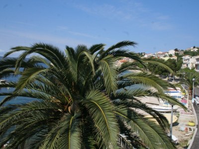 Apartment Studio flat near beach Igrane, Makarska AS-2679-a - Outdoor photo 18