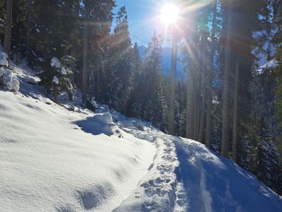 Holiday house No title - Outdoor photo 14