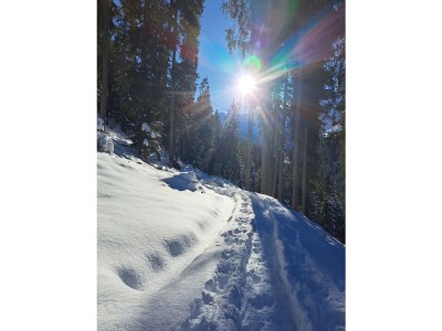 Holiday house No title - Environment photo 39