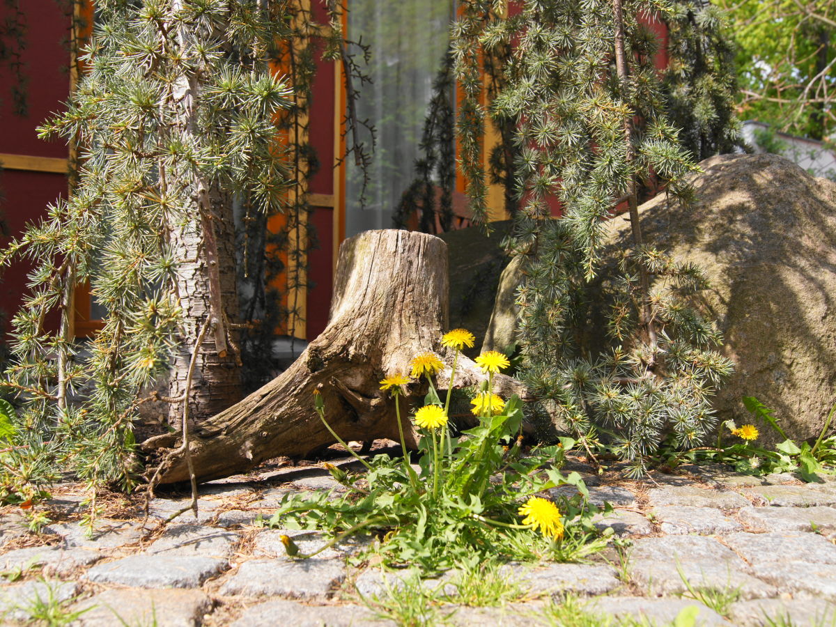 Holiday house red Remise - Outdoor photo 3