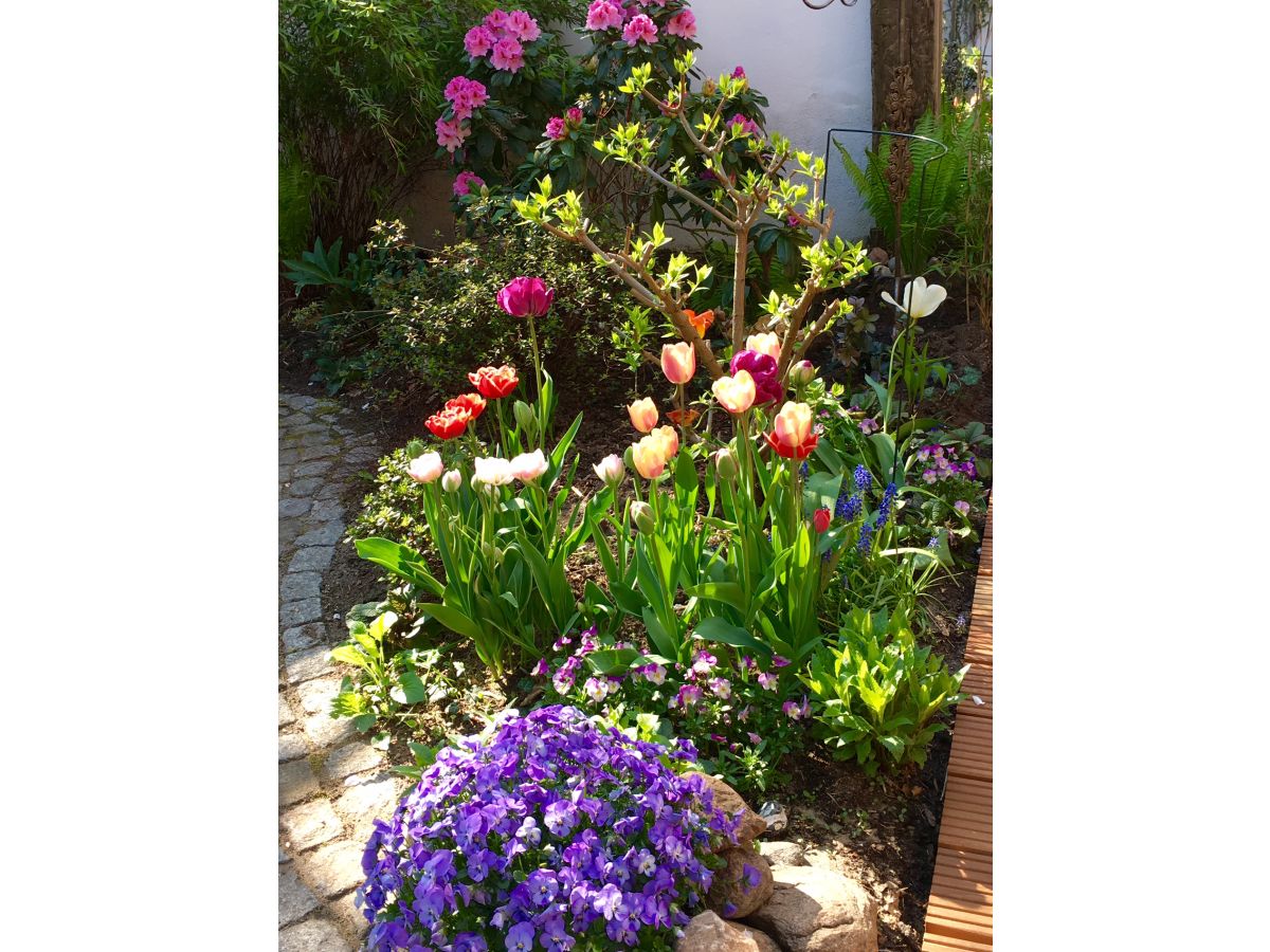 Holiday house red Remise - Outdoor photo 4